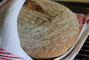 Brød Spelt
